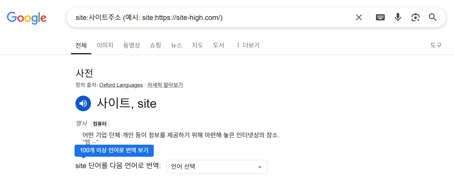 사이트 색인 확인방법